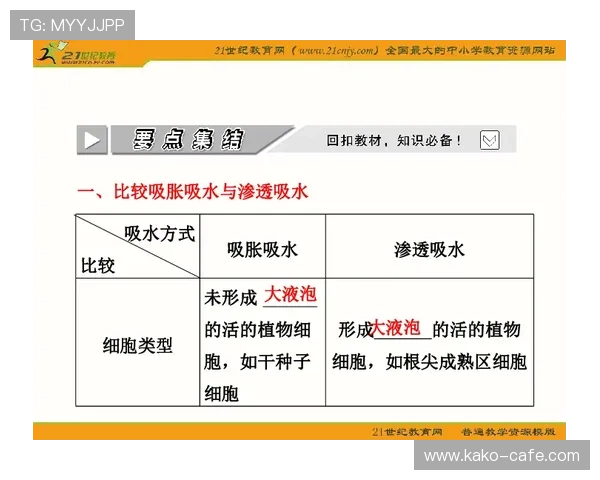 如何利用世预赛竞猜d一六八平台进行高效投注策略分析